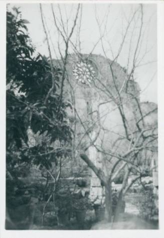 Rose window on a ruined building with trees in the foreground, Villa St Elia, Porticello