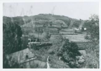 Sicilian farmland, with plant obscuring the lens and the roof of a house in the foreground