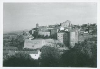 Skyline of an Italian town. Two bell towers stick out from the mass of building. Treetops in the bottom foreground of the frame.