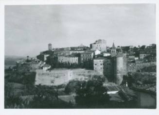 Skyline of an Italian town. Two bell towers stick out from the mass of building. Treetops and rooftops in the bottom foreground of the frame.