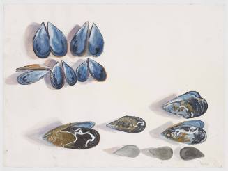 Mussel Studies (Lanzarote)