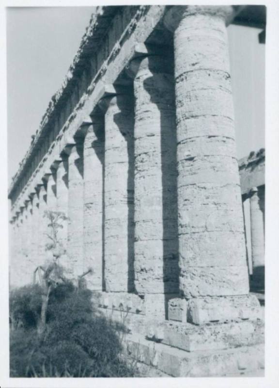 Angled shot of the rows of columns at the Temple of Segesta