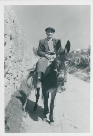 An old man riding a donkey down a dusty path with a wall to his left and plants to his right [Agrigento]