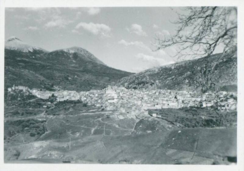 Sicilian town with snow capped mountains in the background and farmland in the foreground. Tree branches in upper righthand corner